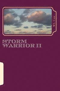 bokomslag Storm Warrior II: Hidden Secrets