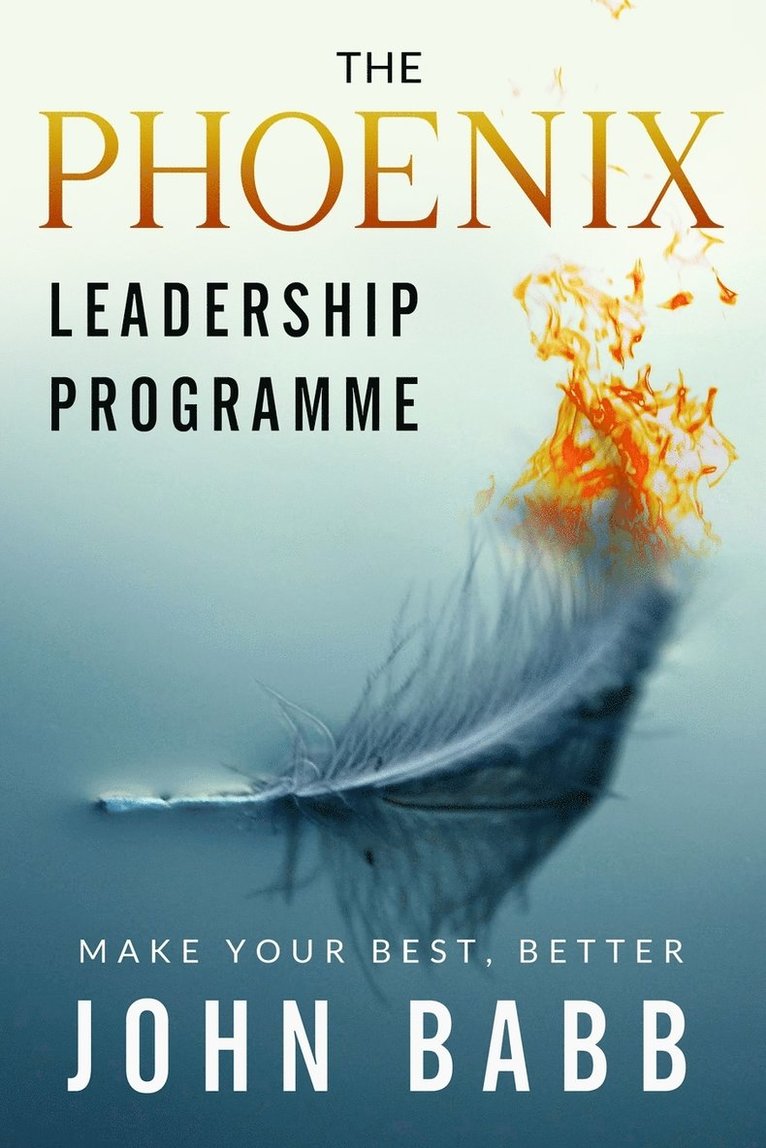 The Phoenix Leadership Programme 1