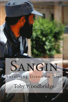 bokomslag Sangin: Surviving Green on Blue