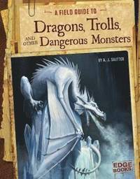 bokomslag Dragons, Trolls, Dangerous Monsters