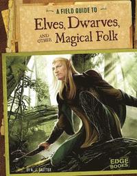 bokomslag Elves, Dwarves, and other Magical Folk