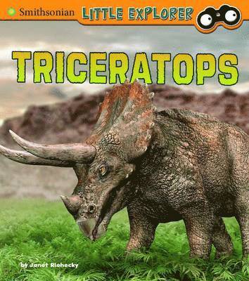 bokomslag Triceratops