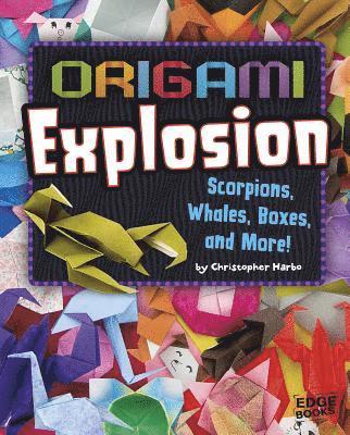 bokomslag Origami Explosion: Scorpions, Whales, Boxes, and More!