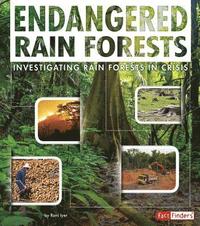 bokomslag Rain Forests