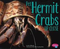 bokomslag Pet Hermit Crabs Up Close