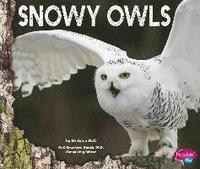 bokomslag Snowy Owls