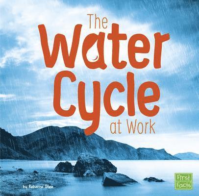 The Water Cycle at Work 1