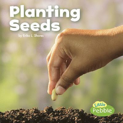 Planting Seeds 1