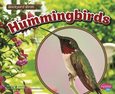 bokomslag Hummingbirds