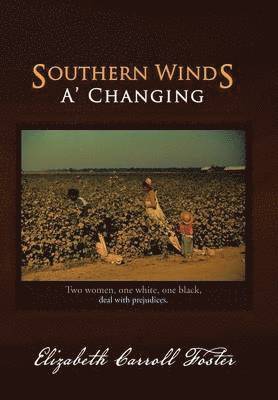 bokomslag Southern Winds A' Changing