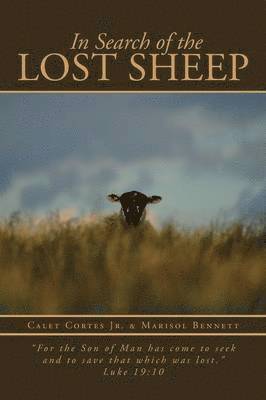 In Search of the Lost Sheep 1