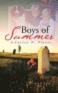 bokomslag Boys of Summer