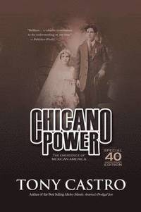 bokomslag Chicano Power