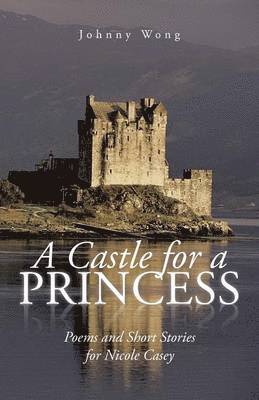 A Castle for a Princess 1