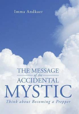 bokomslag The Message of the Accidental Mystic