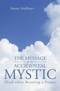 bokomslag The Message of the Accidental Mystic