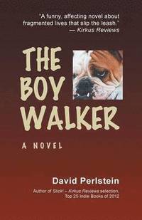 bokomslag The Boy Walker