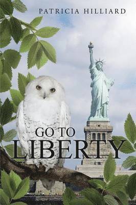 bokomslag Go to Liberty