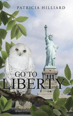 bokomslag Go to Liberty