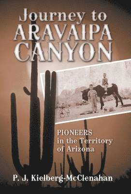 bokomslag Journey to Aravaipa Canyon