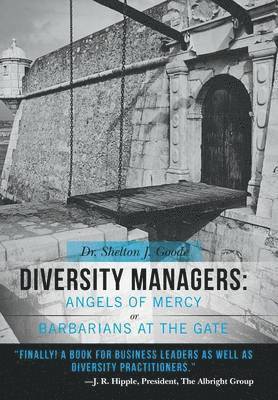 bokomslag Diversity Managers