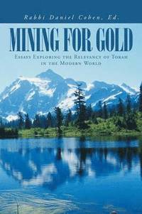 bokomslag Mining for Gold
