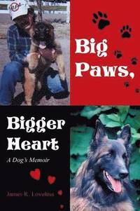 bokomslag Big Paws, Bigger Heart