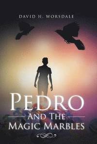 bokomslag Pedro and the Magic Marbles