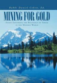 bokomslag Mining for Gold