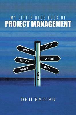 bokomslag My Little Blue Book of Project Management