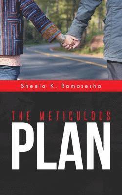 The Meticulous Plan 1