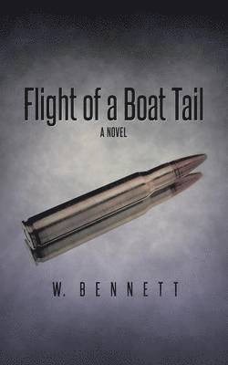 Flight of a Boat Tail 1