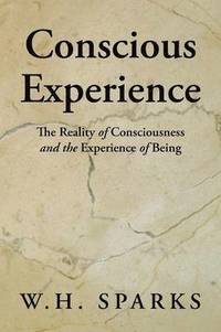 bokomslag Conscious Experience