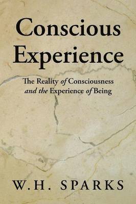 bokomslag Conscious Experience