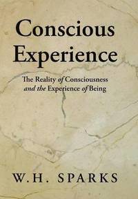 bokomslag Conscious Experience