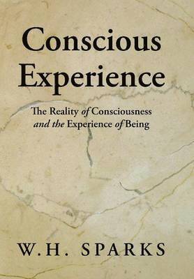 bokomslag Conscious Experience