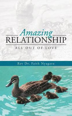 bokomslag Amazing Relationship