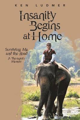 Ken Ludmer - Insanity Begins at Home, Häftad