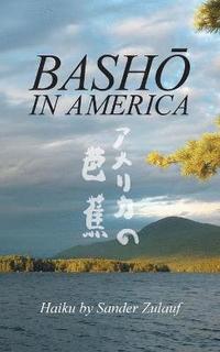 bokomslag Bash in America