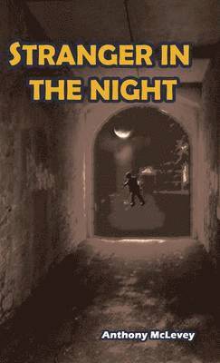 bokomslag Stranger in the Night