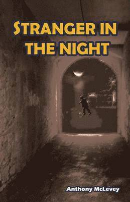 Stranger in the Night 1