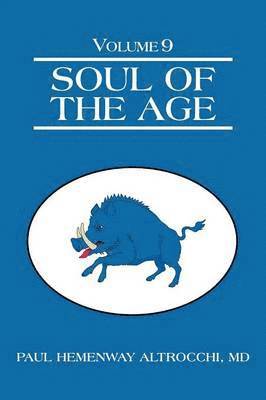 bokomslag Soul of the Age