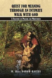 bokomslag Quest for Meaning Through an Intimate Walk with God