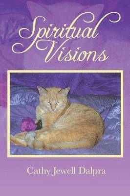 bokomslag Spiritual Visions