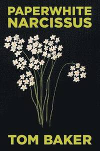 bokomslag Paperwhite Narcissus