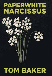 bokomslag Paperwhite Narcissus