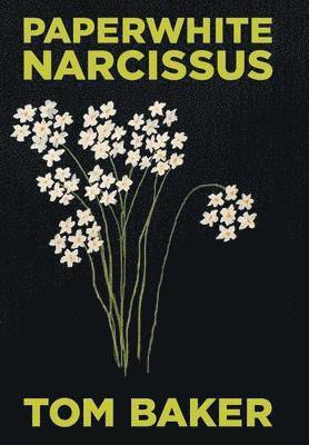 Paperwhite Narcissus 1