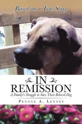 In Remission 1