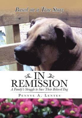 In Remission 1