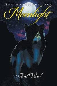 bokomslag Moonlight